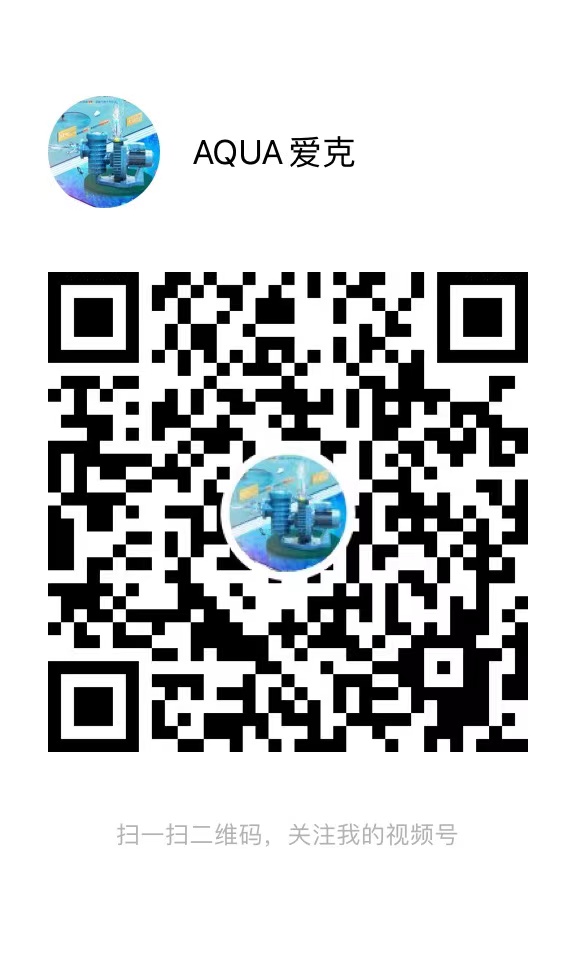 快猫成人短视频视频号