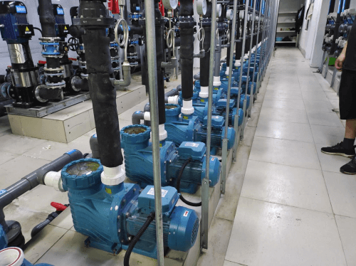 快猫记录生活记录你循环水泵