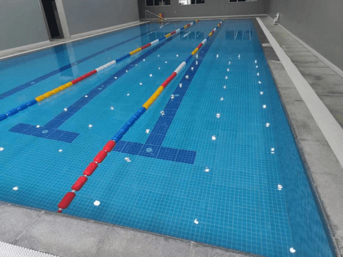 室内快猫记录生活记录你