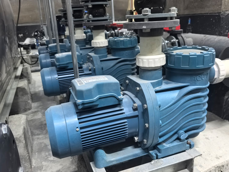 快猫成人短视频快猫记录生活记录你水泵